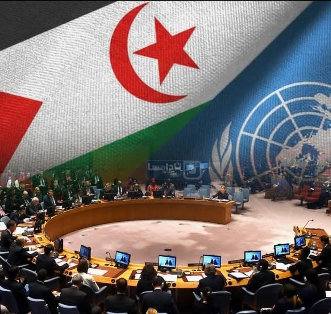 أحمد حفصي || HAFSI AHMED tweet media