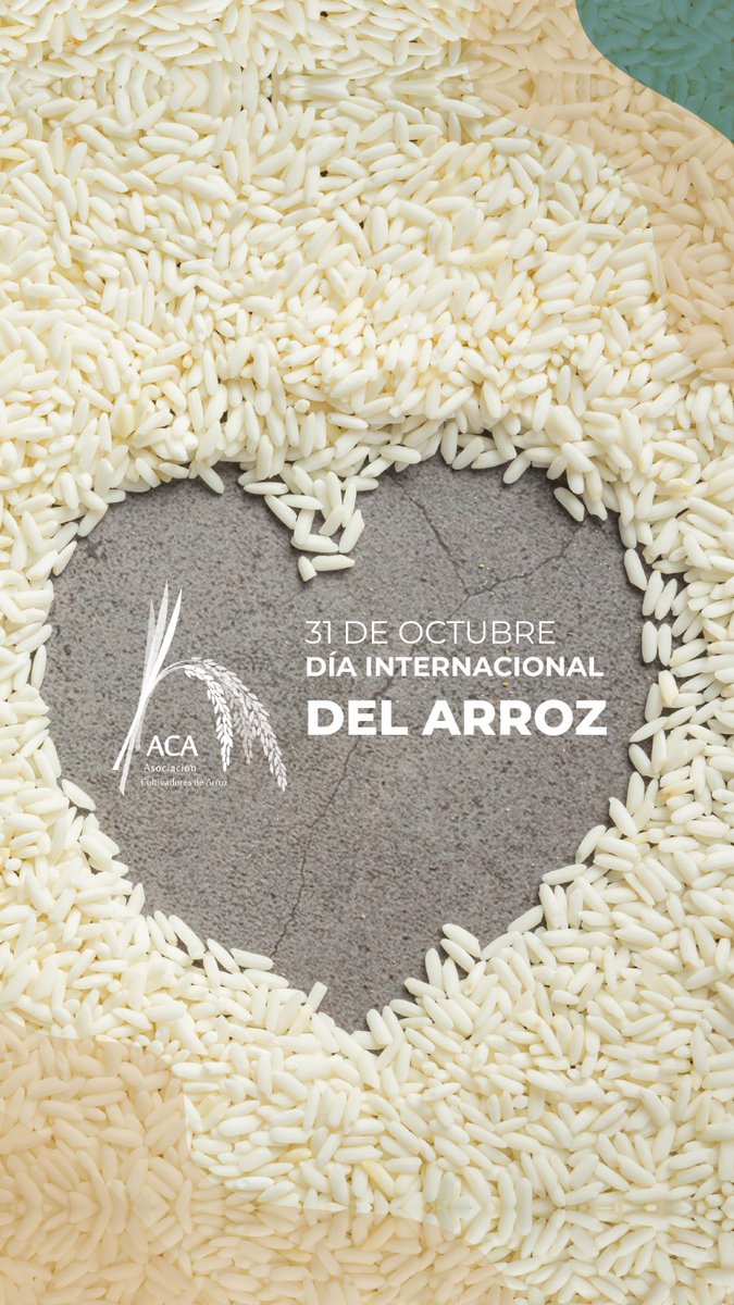 ACAoficial's tweet photo. 🍚31 de octubre | Día Internacional del Arroz

El arroz es alimento básico para más de la mitad de la población mundial 🌎 y aporta el 21% de la ingesta calórica global.

En Uruguay producimos un arroz que refleja lo mejor de nuestra tierra: calidad, sostenibilidad e inocuidad, garantizando alimento seguro para el mundo.

Feliz día!