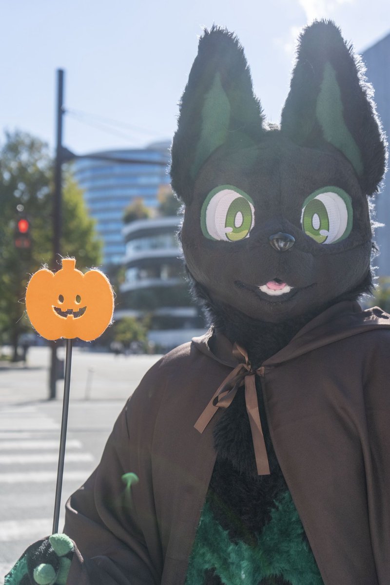 ガジマル (@2929gazimaru) / Posts / X