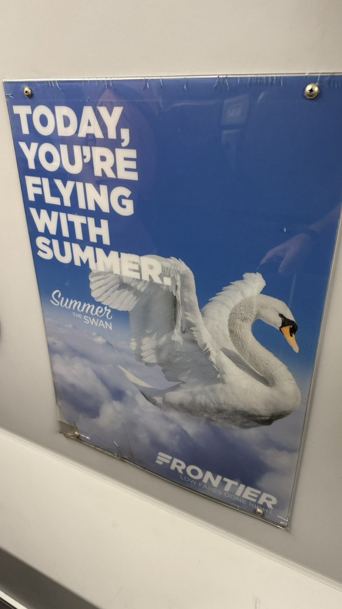 The Legend (@inthelooplegend) on Twitter photo 