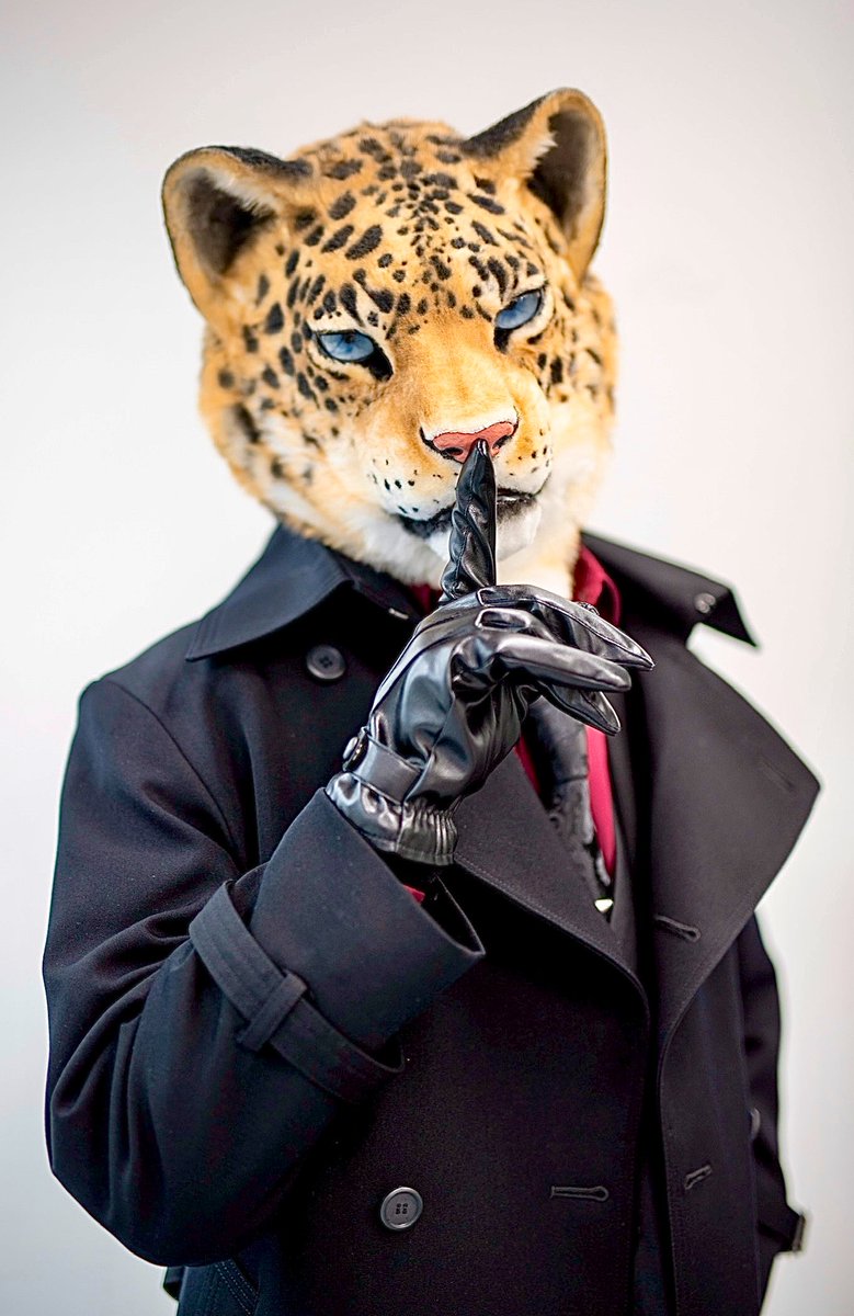 🐆『shh...✨』

📷:<a href="/nightmare_chama/">めあ</a> 

#HALFURF
#創造トリアノン