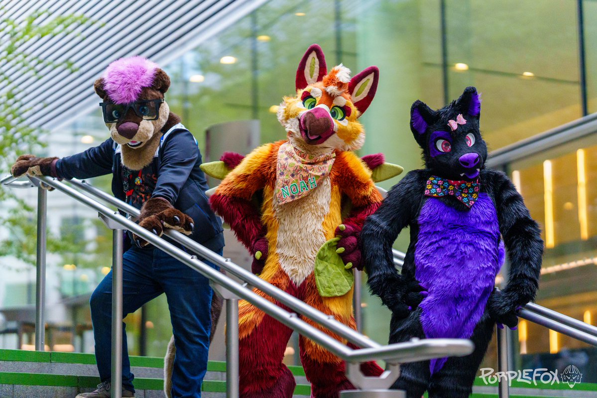 You're going to have to get through us 3 before proceeding up these stairs! &gt;:3 #FursuitFriday

📷 <a href="/PurpleFoxCosmo/">Cosmo</a>