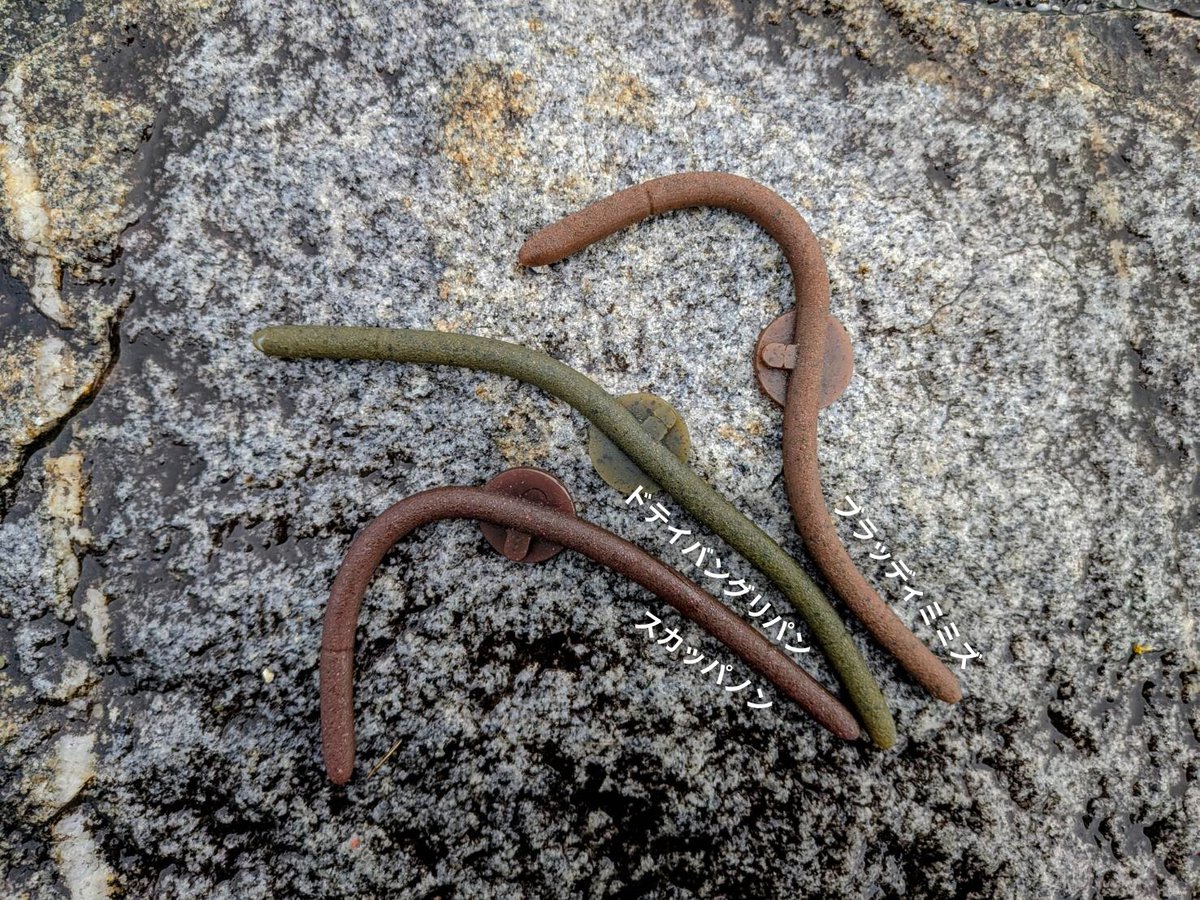 ⭐︎ヤマ⭐︎ 🐣🍒やま🐍🐸👼🍼 (@yama05251) / Posts / X