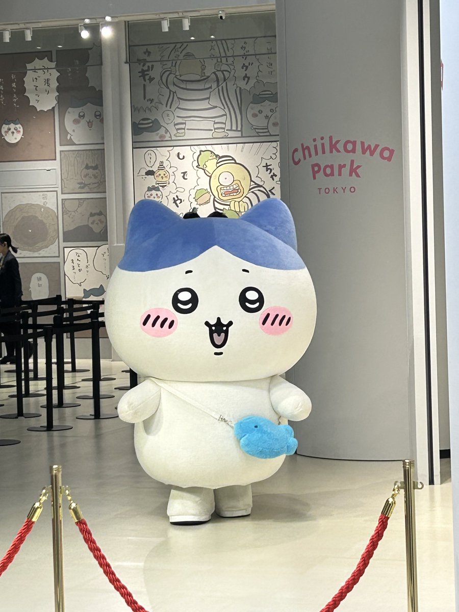 みん ฅ'ω`ฅ) (@min_hachi5) / Posts / X