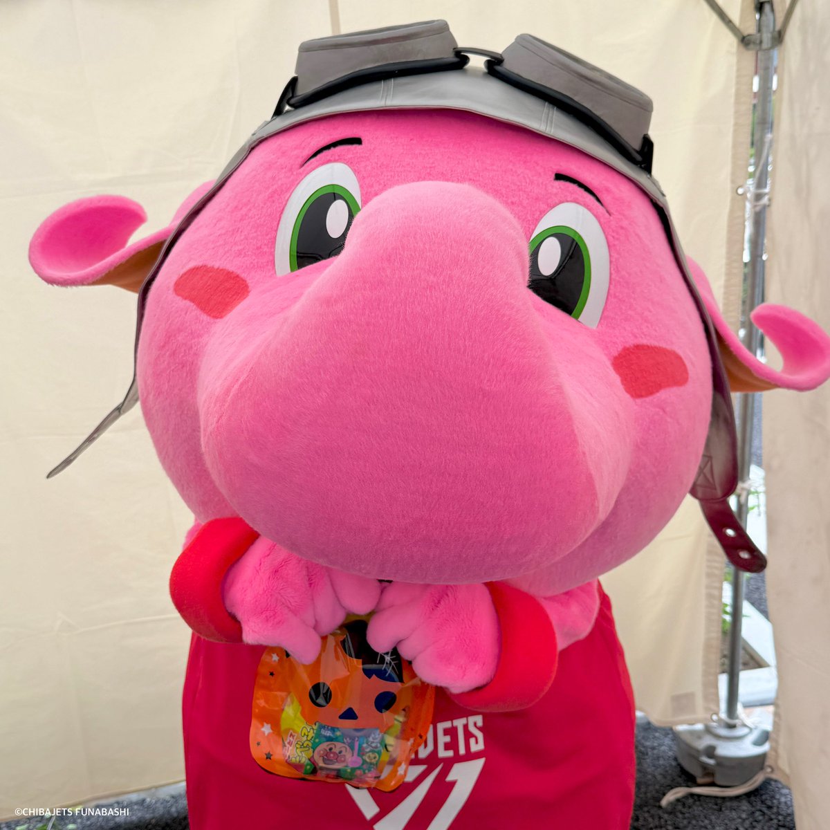 公式】ジャンボくん(千葉ジェッツふなばし) on X