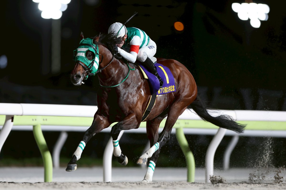 すみれ☆ 花芽すみれ 6周年記念2024