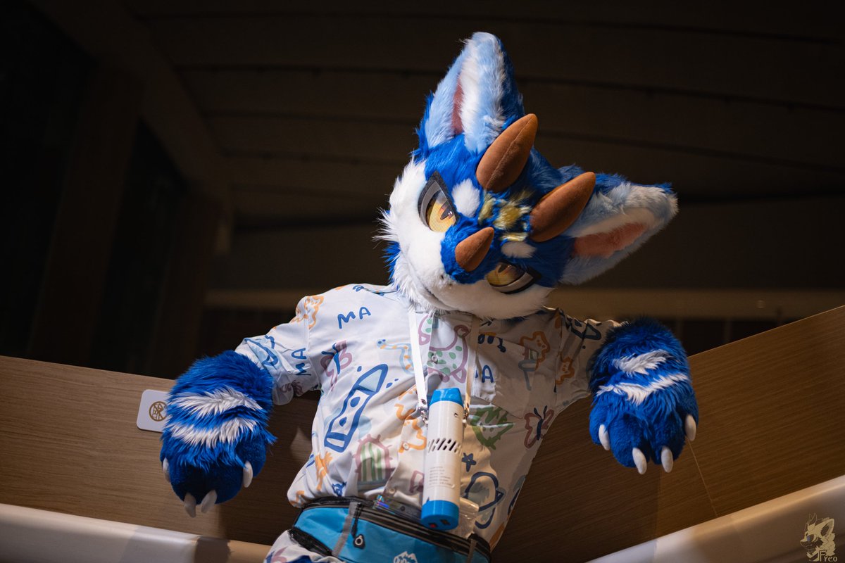 #FursuitFriday
哟，怎么从背后偷拍呀？对我这么感兴趣的话，来我房间让你好好拍个够怎么样😈😈😈？
📷：<a href="/Furry_Freo/">糯米是只龙</a>