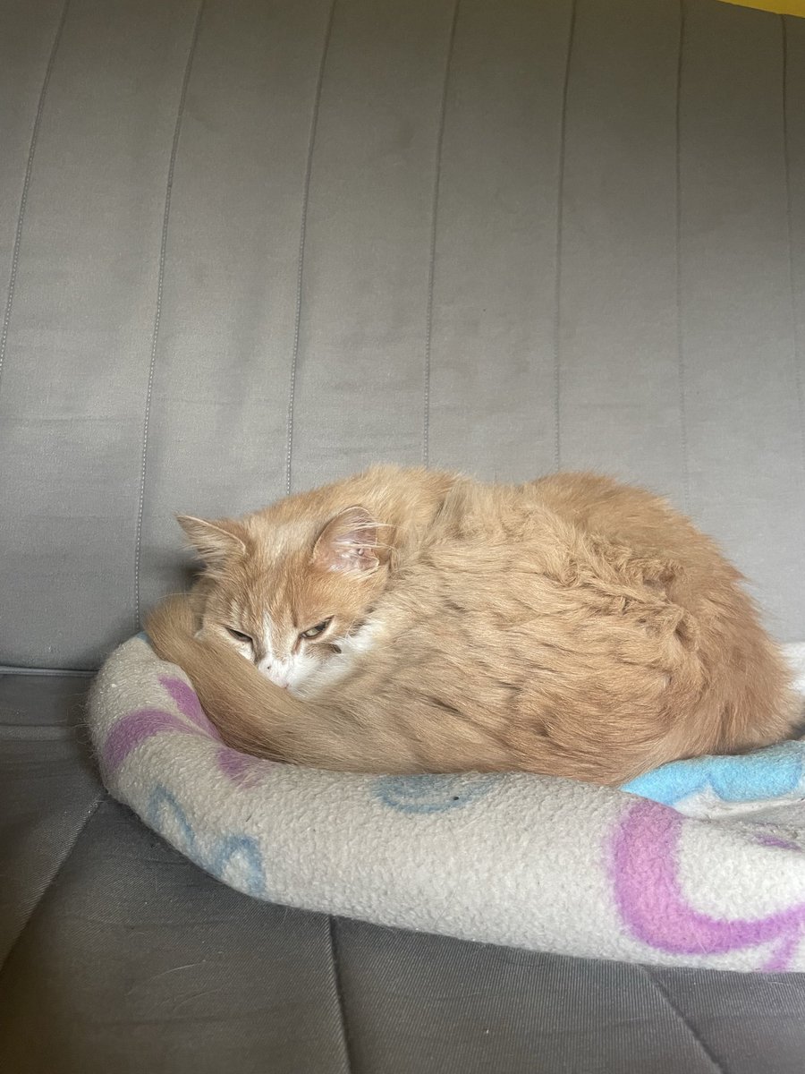 Je crois que son frangin squatte sur mon clic-clac, regard de killer!