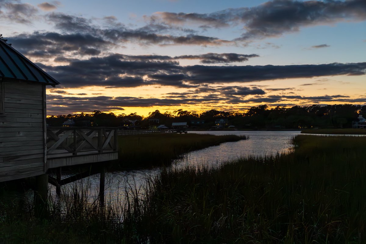 #nature #pawleyscreek 
I stand in awe. Never bored!