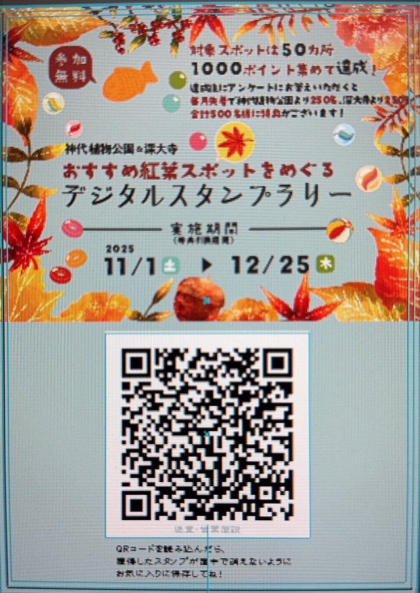 神代植物公園 【公式】 tweet media