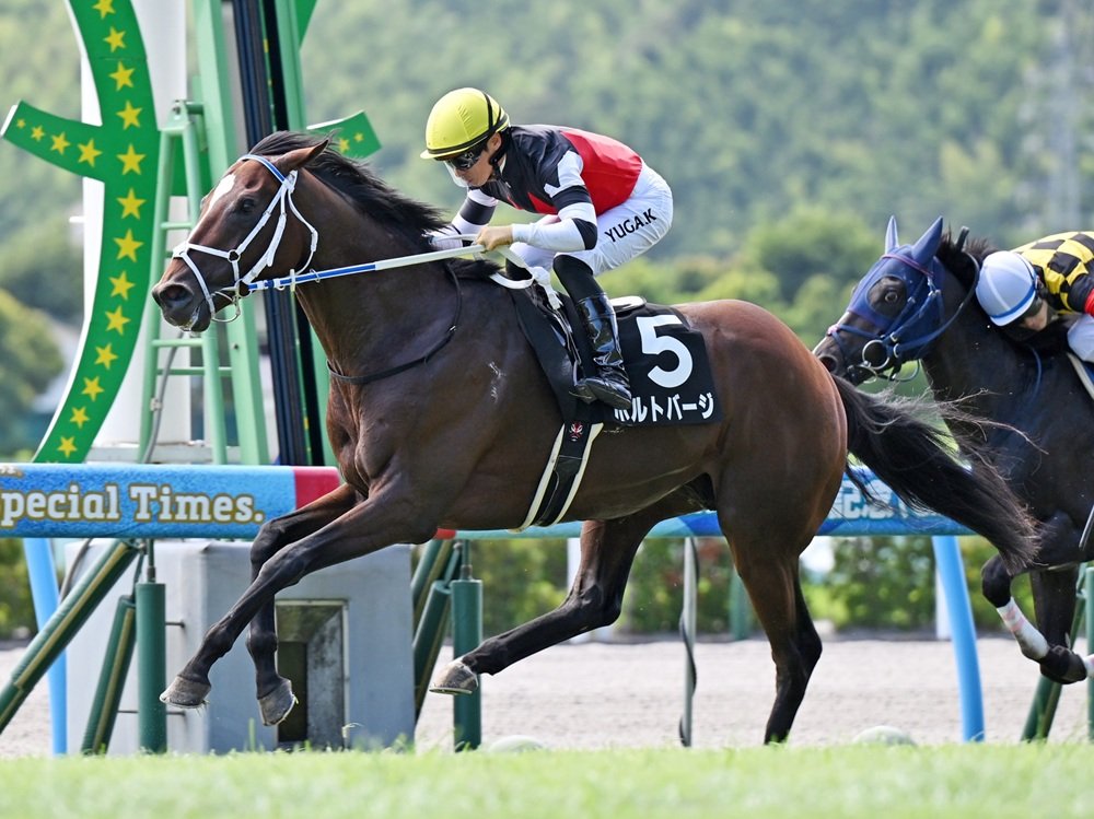 ルドルフさん (@CyberRudolf) / Posts / X