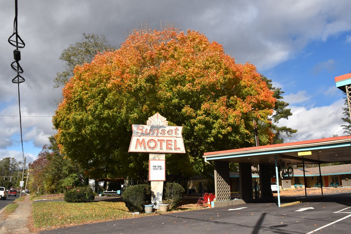 Bart Shore tweet media