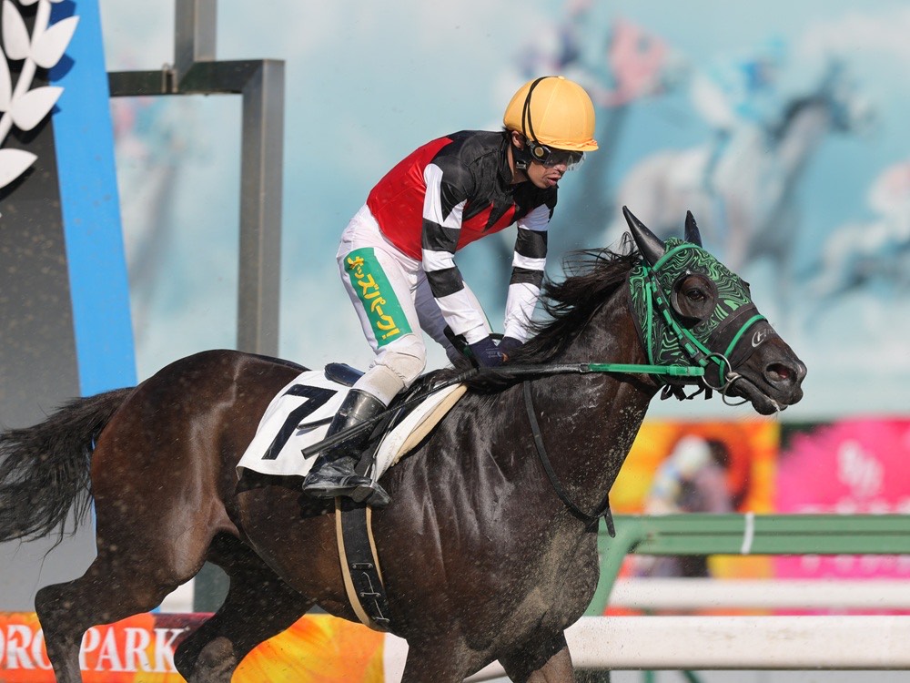 ルドルフさん (@CyberRudolf) / Posts / X