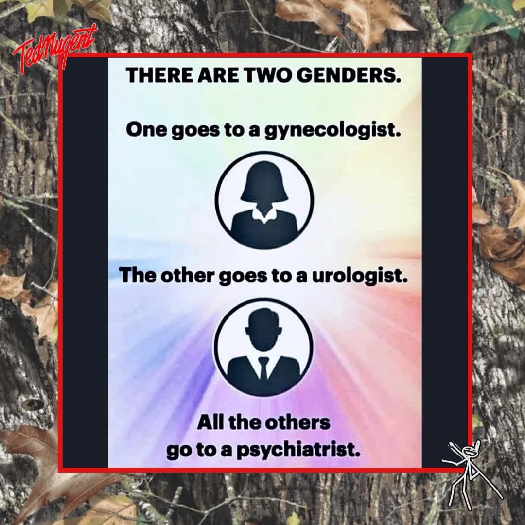 <a href="/AntiWokeMemes/">Anti Woke Memes</a> A man who dates a “trans” woman is a HOMOSEXUAL. He is GAY. 🤢🤮