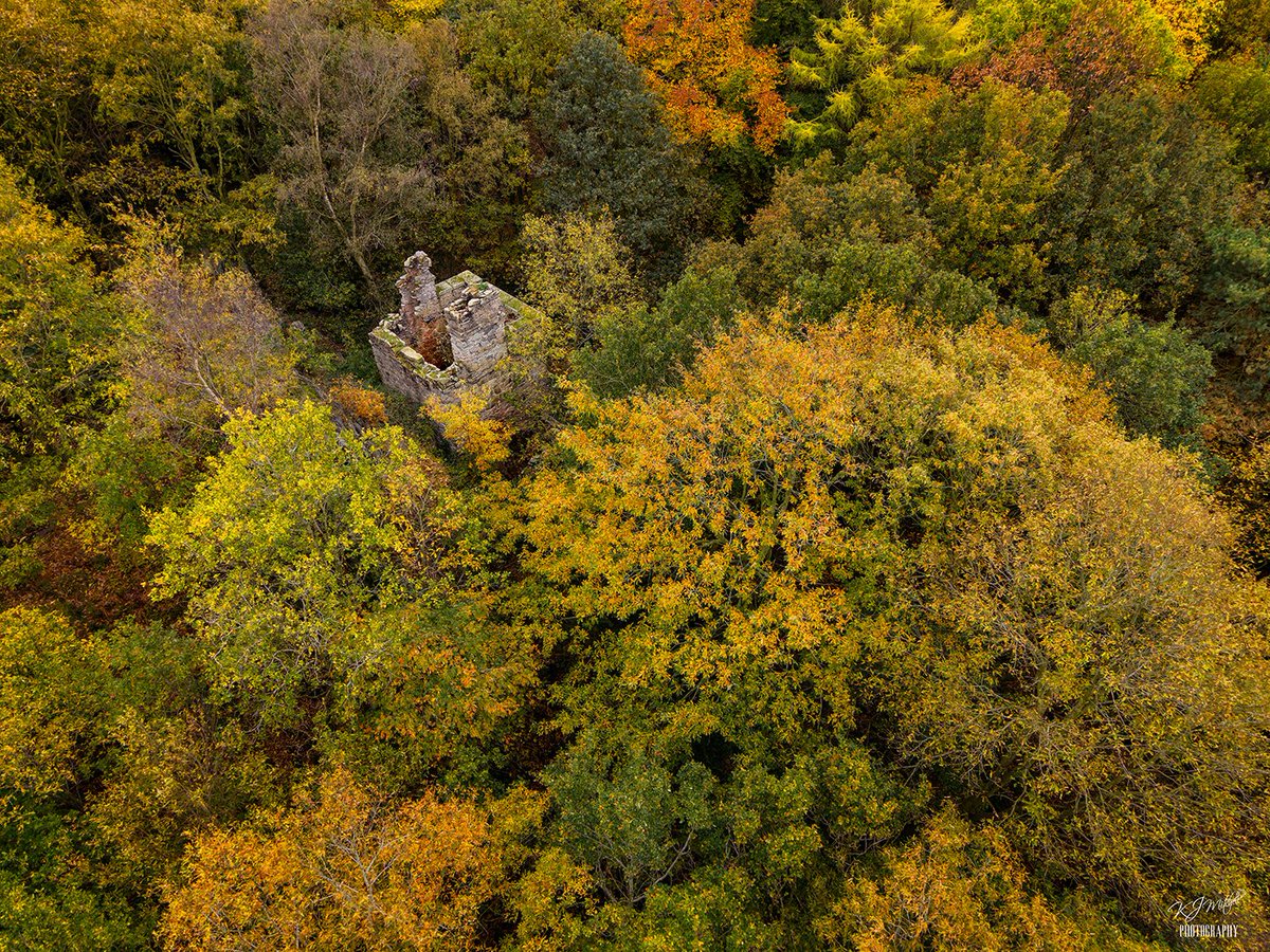 Autumn <a href="/DJIGlobal/">DJI</a> #dji #djimini5pro #photography