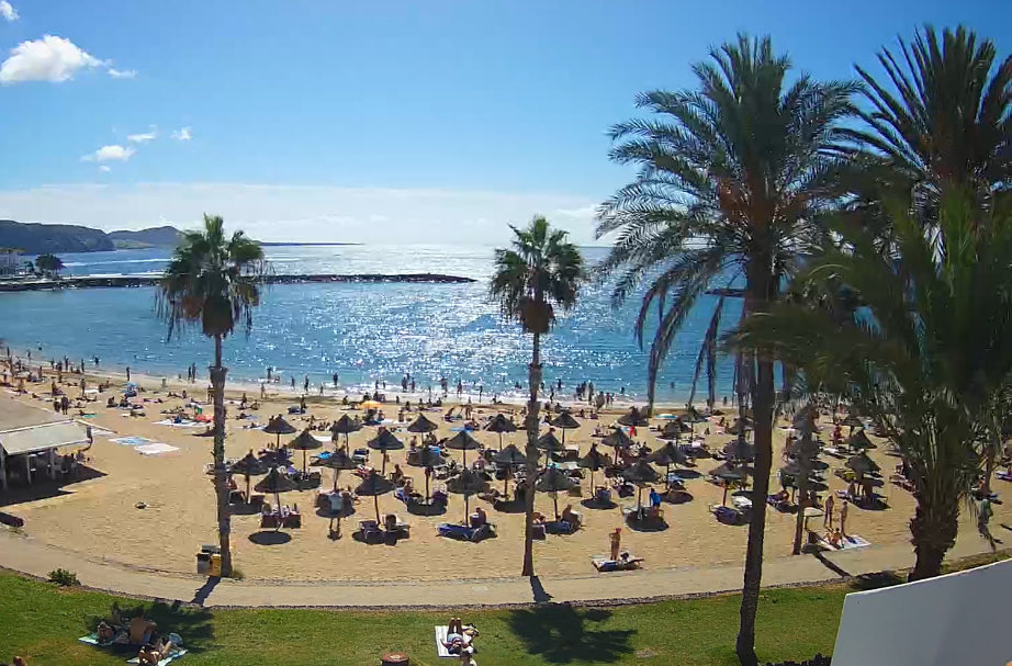 CanariasLifeW's tweet image. Así se ve el día desde una de nuestras nuevas cámaras en el sur de Tenerife🏞️☀️

Día espectacular con el sol brillando fuerte y el mar perfecto para darse un baño🧡🌊

 canariaslife.com 📲📷

#LosCristianos #TenerifeSur #CanariasLife #VistasEnDirecto