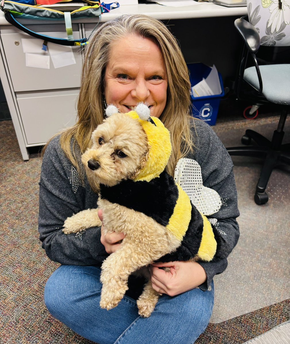 cmurpl's tweet image. HAPPY HALLOWEEN from the hallowed halls of Finch! Gus, our resident therapy dog, got all dressed up as a bumble bee because he “flys” around the hallways and classrooms! FANCY IN FINCH! 🔥👆🐝 @cmuehs @cmualumni @cmuniversity