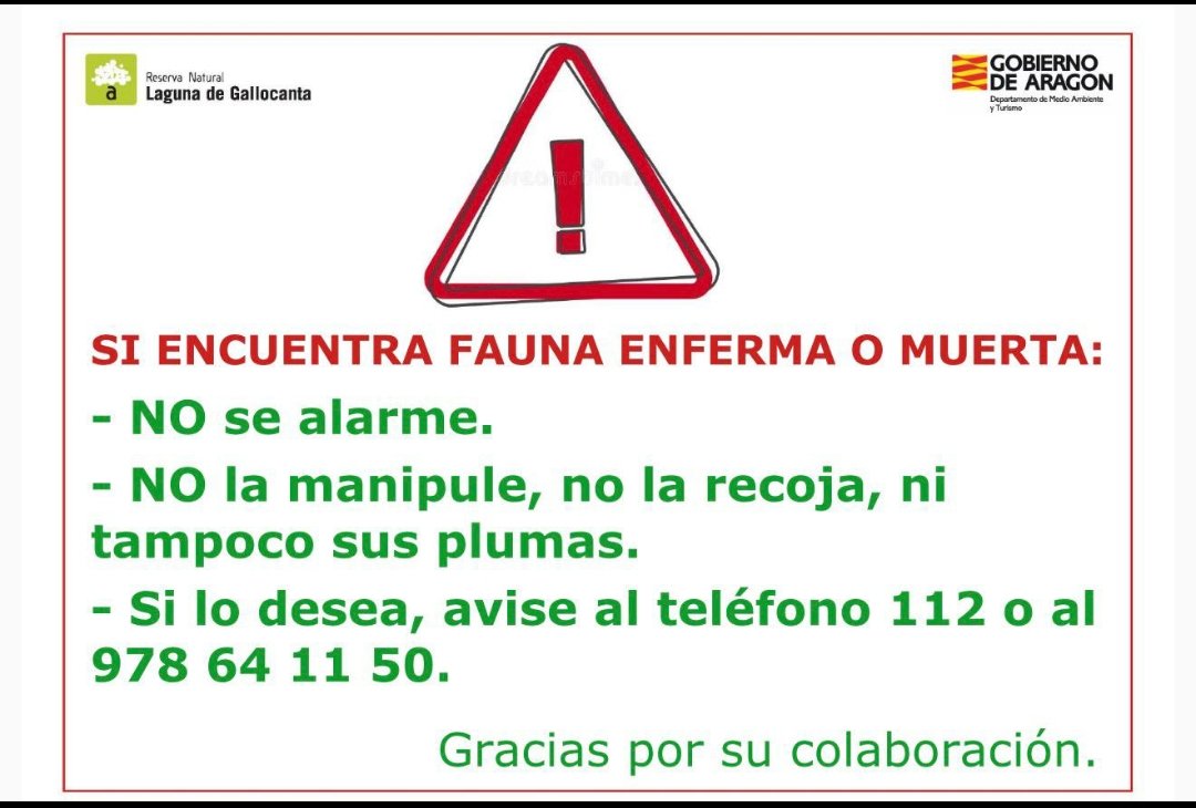 Laguna Gallocanta (@cilagunagalloca) on Twitter photo 