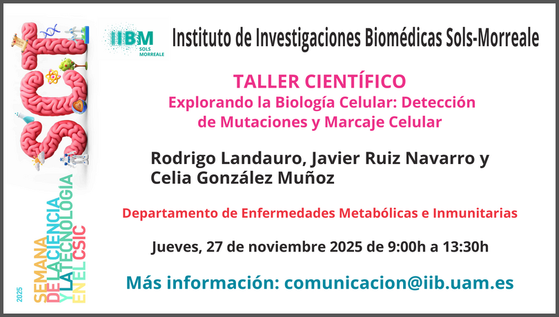 IIBmCSICUAM's tweet image. 🚀 Rodrigo Landauro, Javier Ruiz y Celia González presentarán un nuevo taller de biología celular 👏👏👏 . ❗️GRACIAS 👩‍🎓👨‍🎓❗️

Una oportunidad para que estudiantes experimenten la ciencia de cerca y descubran cómo se investiga en el laboratorio. 💡🔍

¡Bienvenidos a la #SCT2025! 🙌