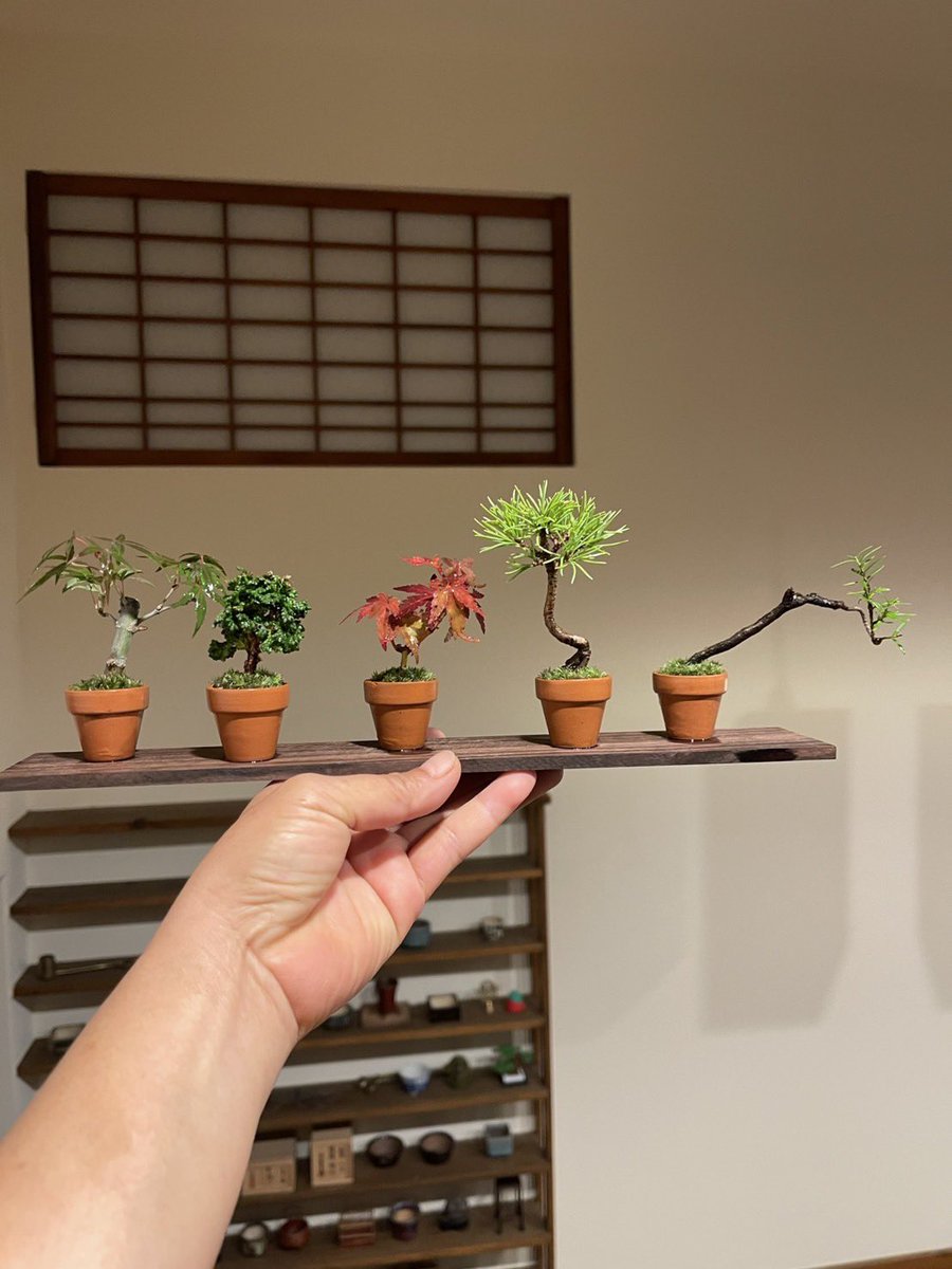 soboku1224's tweet photo. 《告知》
苔ぼっくりの素材としてためてた素材たちを11/2〜11/3築地で販売致します🌳
　　　　❤️100個限定です❤️
写真以外の素材もたくさん！そしてなんと,,,
11/2➡️10:00〜12:00 ハッピーアワーとして
素材たちを一律500円で販売致します✌️
もちろん苔ぼっくりもありますが珍しく素材がメインかも..? https://t.co/nHLe4OnHoT