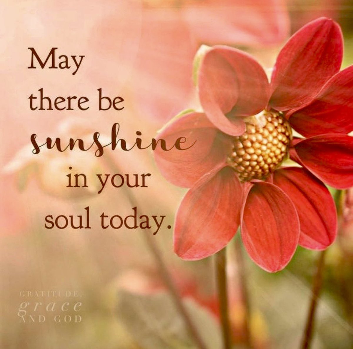 88angel's tweet image. May there be sunshine in your soul today! 💕 #fridaymorning #fridaydaymotivation #FridayFeeIing #fridaymood #friday #motivation #quotes #quote #Inspiration #inspirationalquotes #inspirational