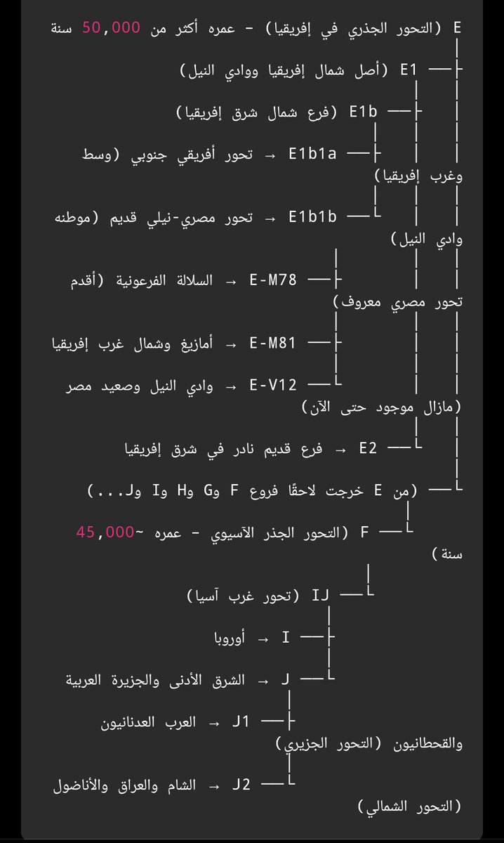 محمد الشاطر العبسي tweet media