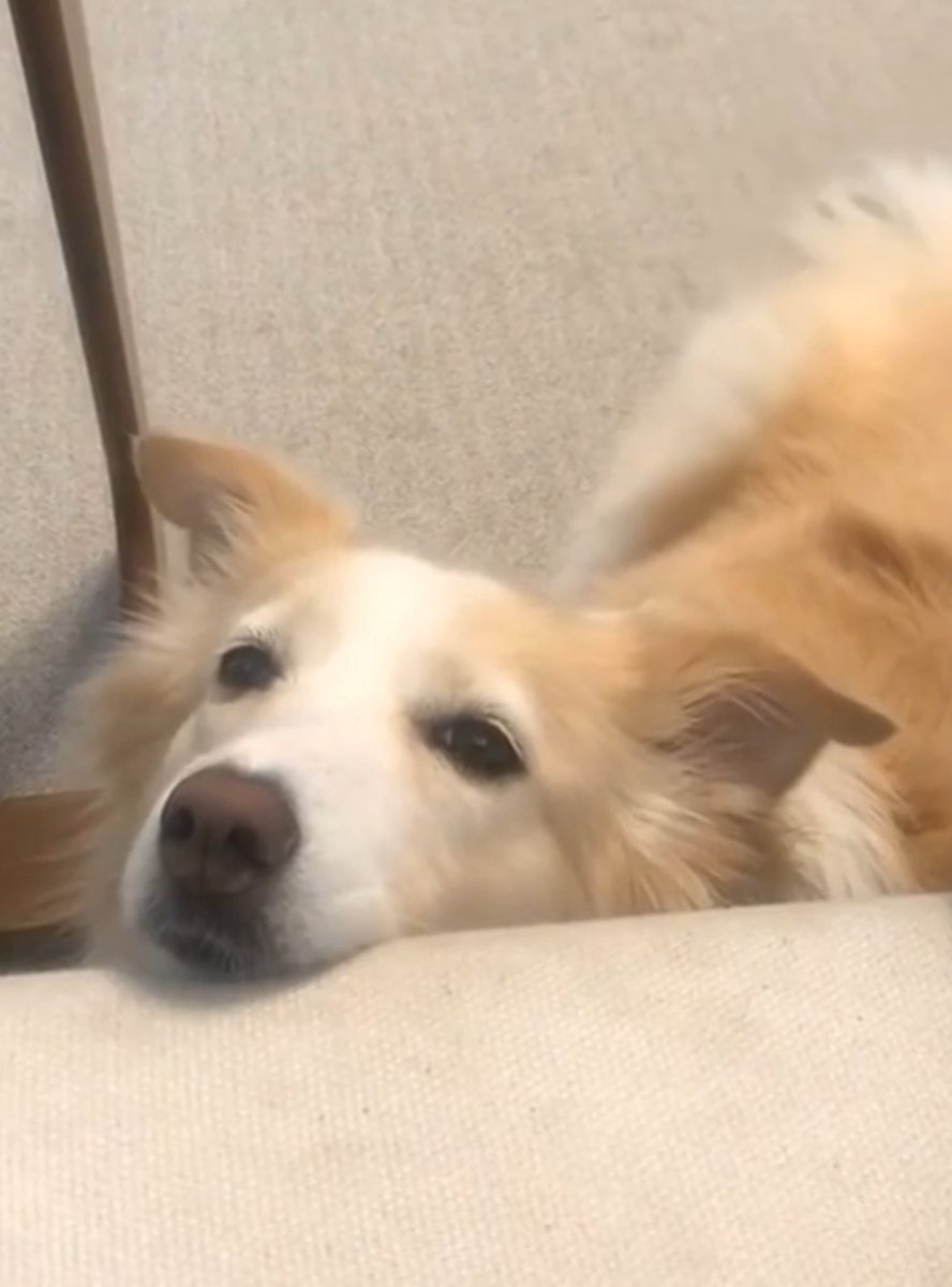 heartis_jake's tweet image. “เลย์ล่าสุดน่ารัก” ที่ 1 ในใจของพี่เจคนะคนนี้