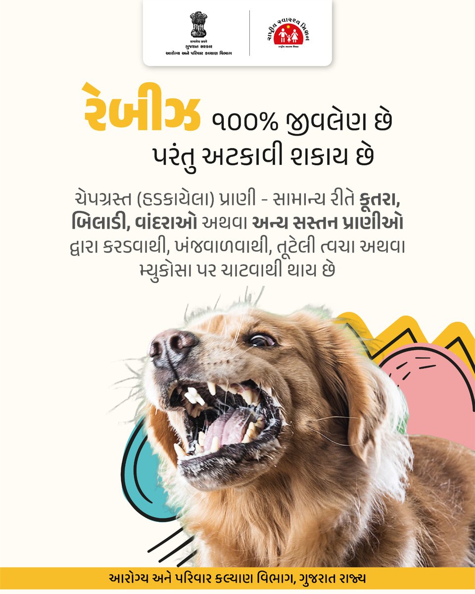 NHMGujarat's tweet image. રેબીઝ થી બચવા માટે આટલું કરો...
#gog
#healthdepartment
#spreadawareness
#HealthTips
@CMOGuj