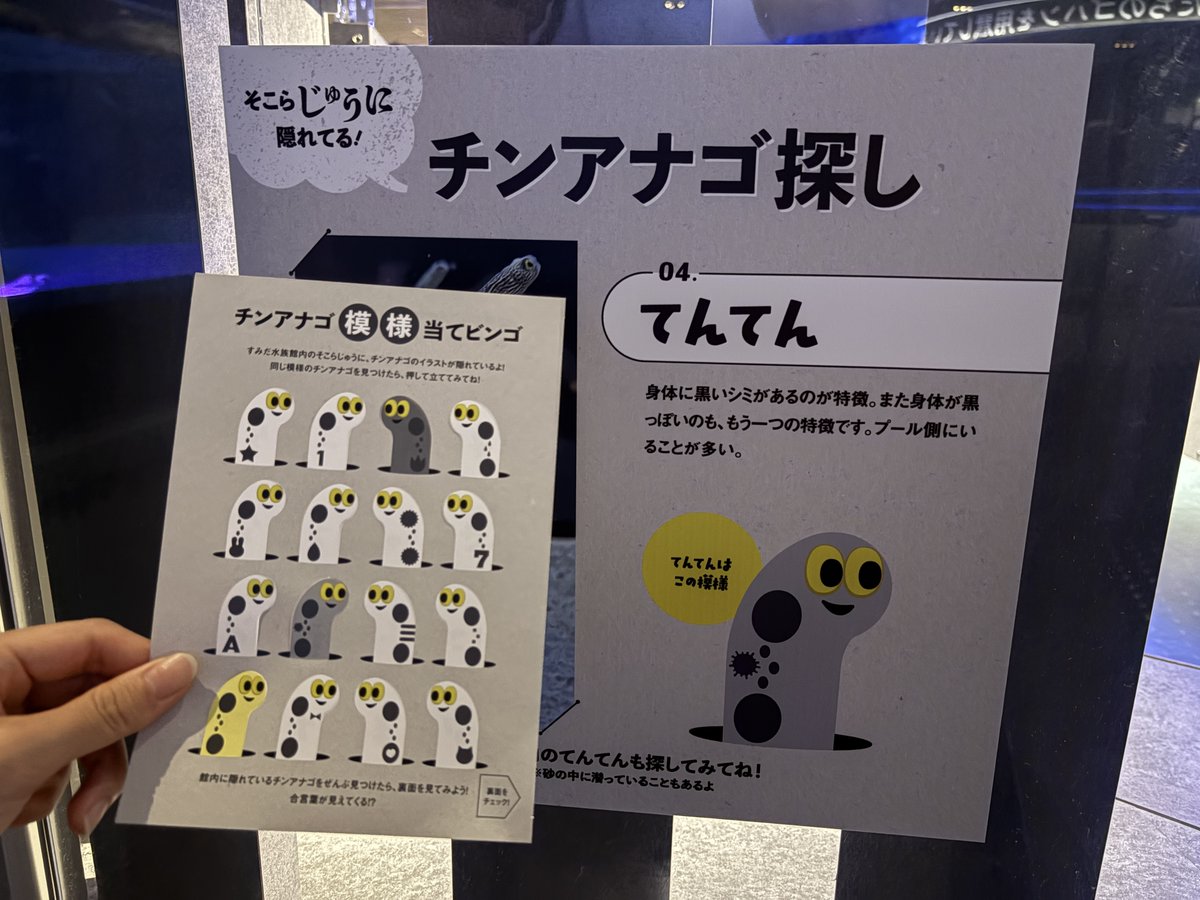 本日11月1日～11日まで限定で、館内そこらじゅうに隠れている