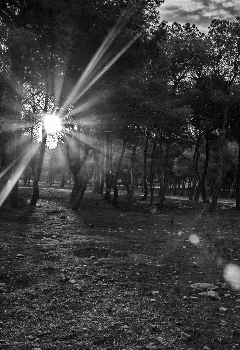 Halloween es una fiesta que se celebra el 31 de octubre y su origen se remonta a la festividad  celta de Samhain, marcaba el fin del verano y la cosecha, y creía que la barrera entre el mundo de los vivos y el de los muertos se  difuminaba esa noche.