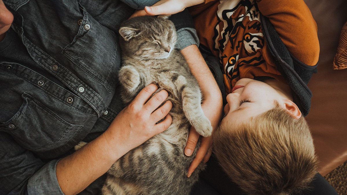 #FeelGoodFriday: How are your stress levels? 🤔

Dogs are most often used as assistance animals, but new research suggests that cats could also help to reduce stress in very emotional people &gt; ow.ly/iJBP50LqLJu

#Stress #Anxiety #Depression #Therapy #Cats #Dogs
