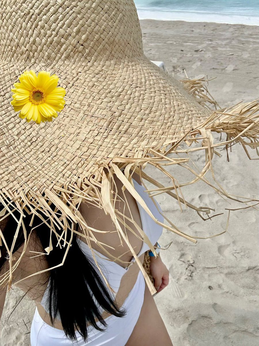 SwanEcho tweet media