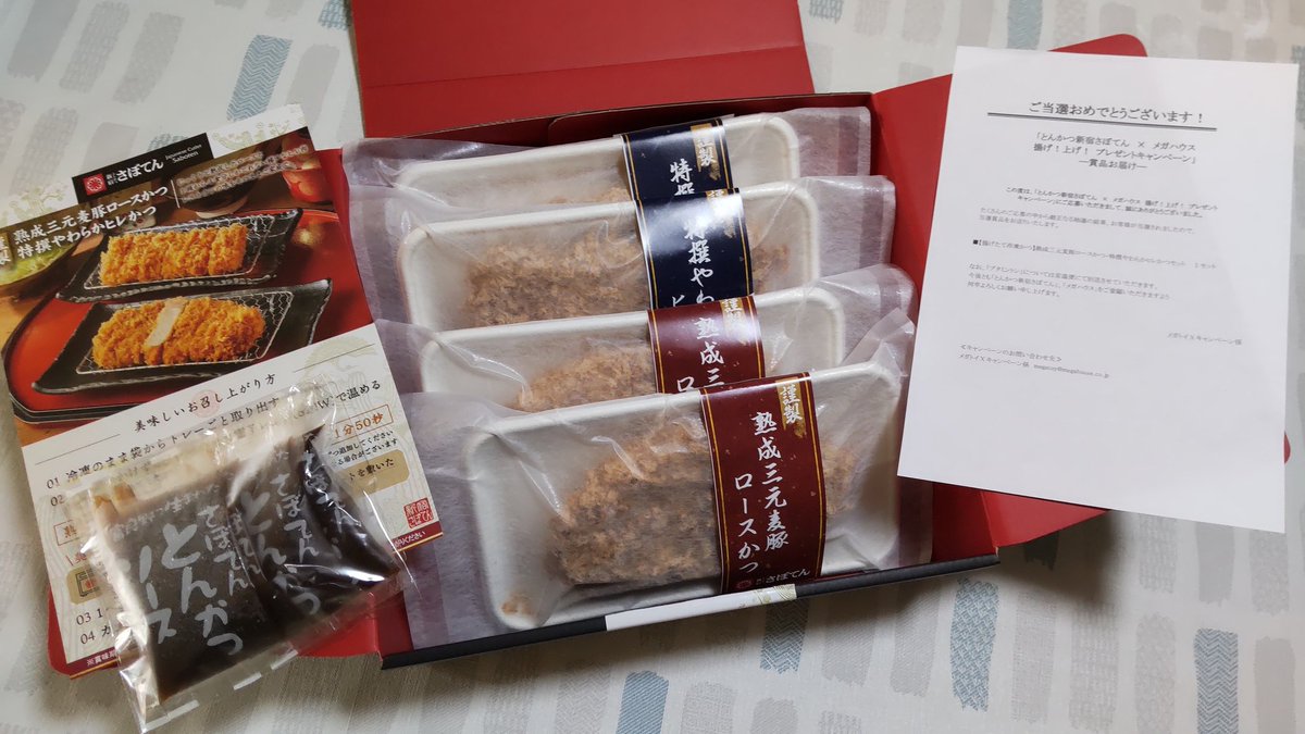 メガハウス　レンジでちょちょい♪ ⑨ レンジでちょちょい メガハウス 全10種類セット