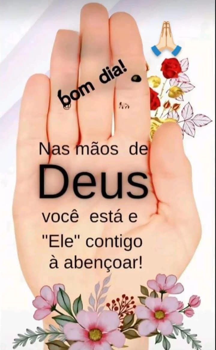 Vera Lúcia de Campos tweet media