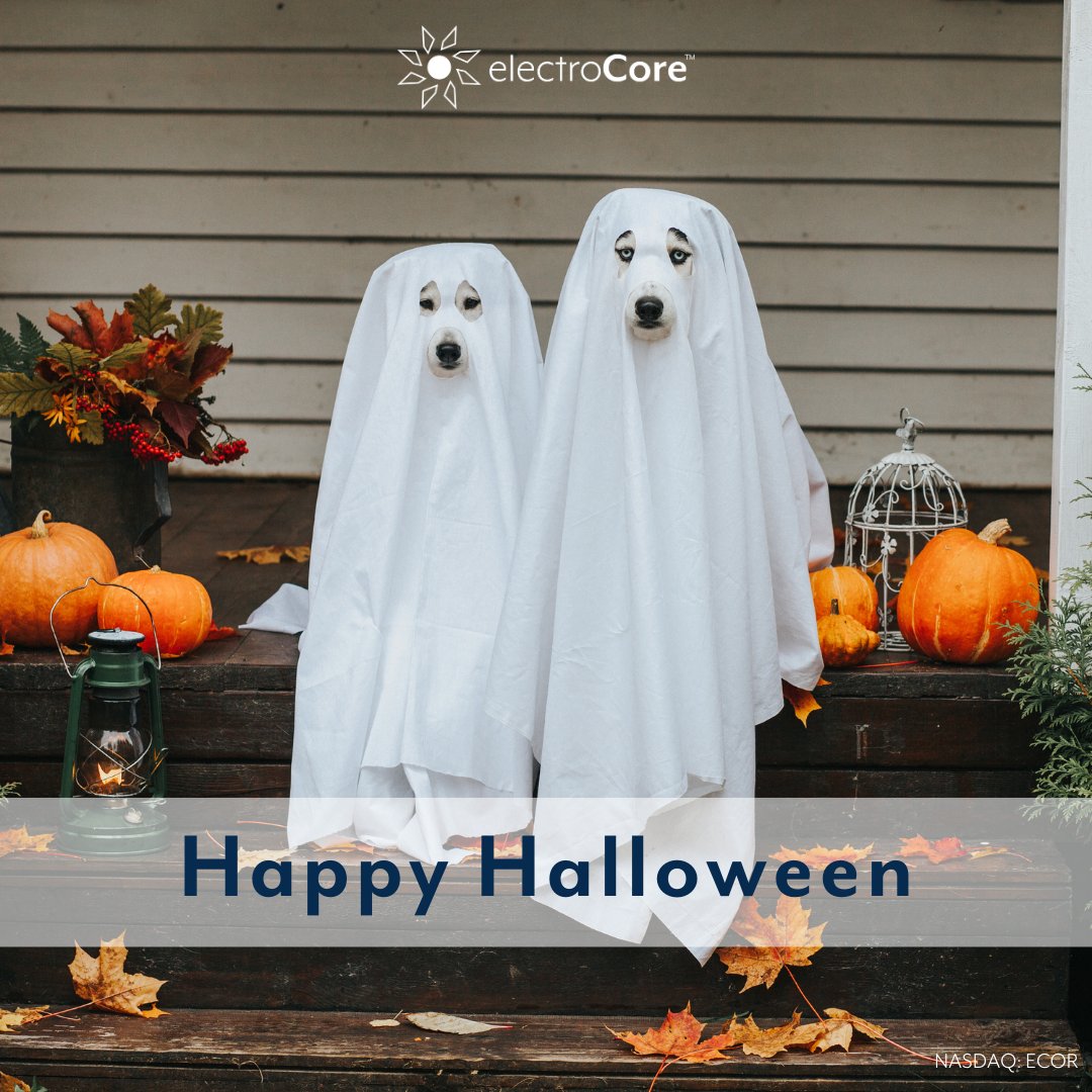 ElectroCoreVNS's tweet image. Happy Halloween! Have a spooktacular day! 🎃👻  

#HappyHalloween #electroCore