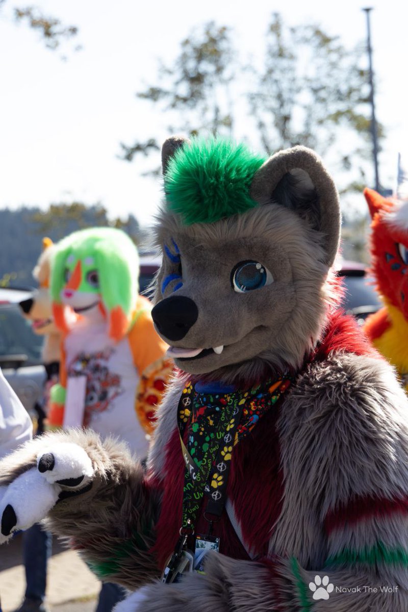 Happy #FursuitFriday aaaaaaa i mean H H Halloween let's go scare some Kids 👀

🪡 SergNDerg 
📸 novakthewolf

#fursuit #FursuitFriday #furry #furryoc #furrypride #furrypaws #furrie #furryfandom #furrywolf #furryanthro #furrylife #furr #furriesofinstagram #furrycharacter #fursona