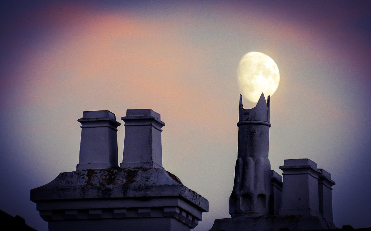 AliDiva_'s tweet image. 'Tis Hallowe'en  🎃👻