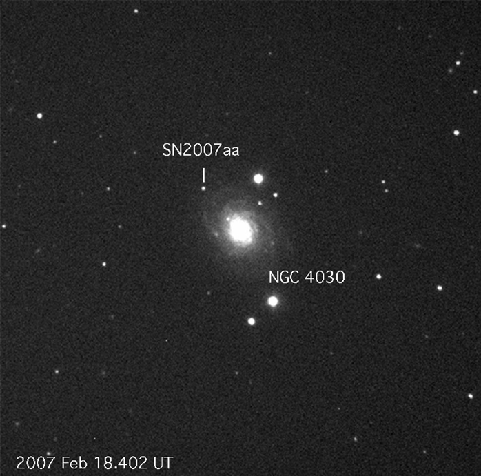 俊豪 IG0269 1/43 ZENT DJ TOM'S EXiV (#36) 1996 JTCC | LINE UP