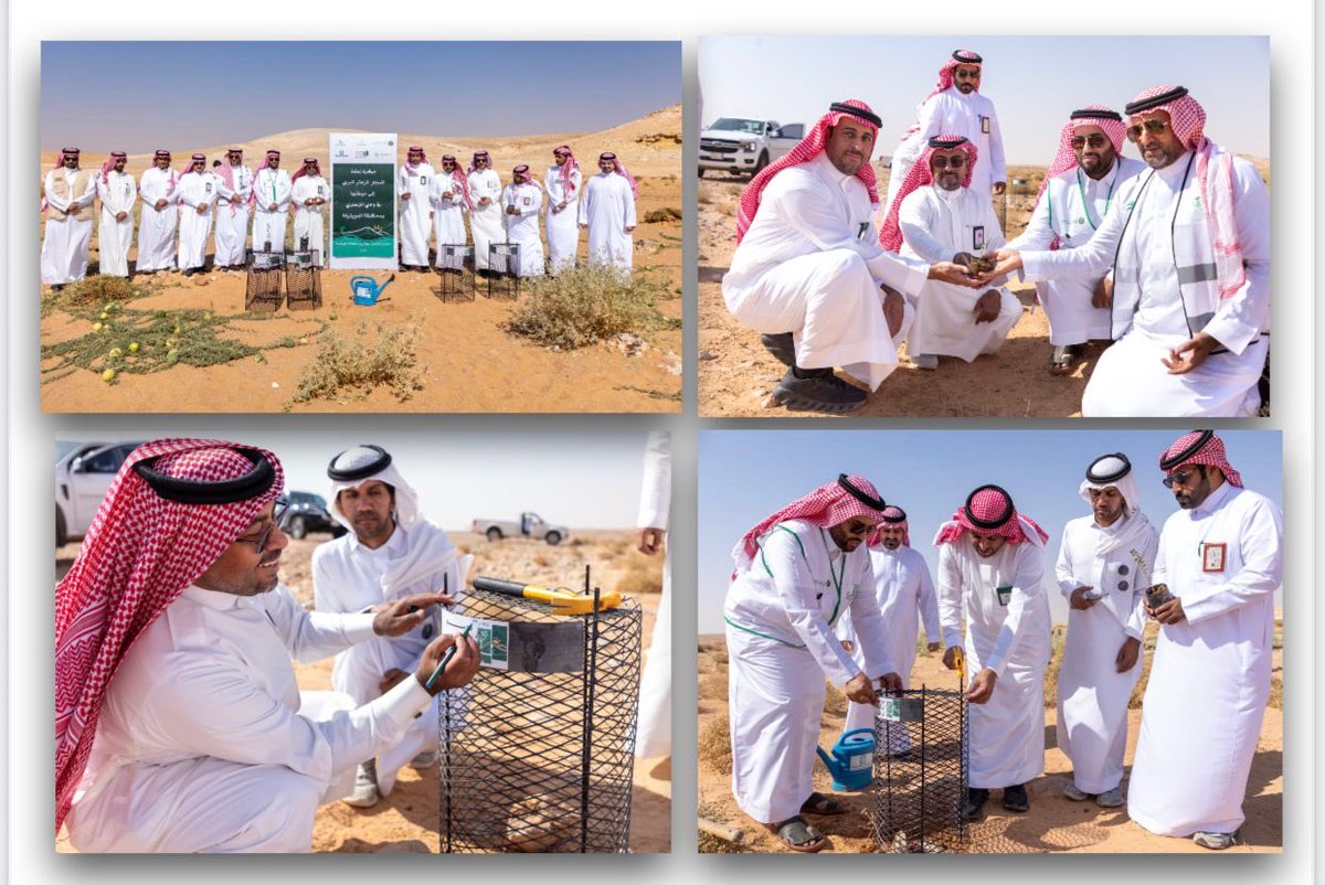 انطلقت مبادرات التشجير الوطني 2025 في محافظة العويقيلة تحت شعار يد تغرس وأرض تزدهر
وذلك في تشجير مستشفى العويقيلة بحضور المدير العام لفرع وزارة البيئة والمياه والزراعة بمنطقة الحدود الشمالية م /بندر الهديه وسعادة مدير المركز الوطني للغطاء النباتي ومكافحة التصحر أ/ مروعي الخرمي