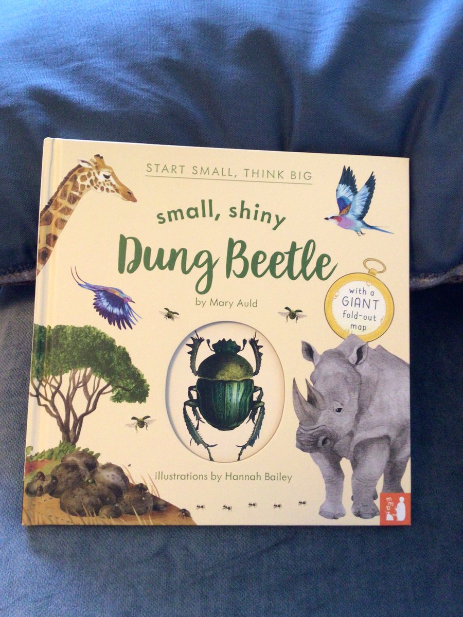 writeaboutbooks's tweet image. To mark the beginning of National Non-Fiction November, #DungBeetle is the latest title in one of my favourite information book series #StartSmallThinkBig @Mamamakesbooks