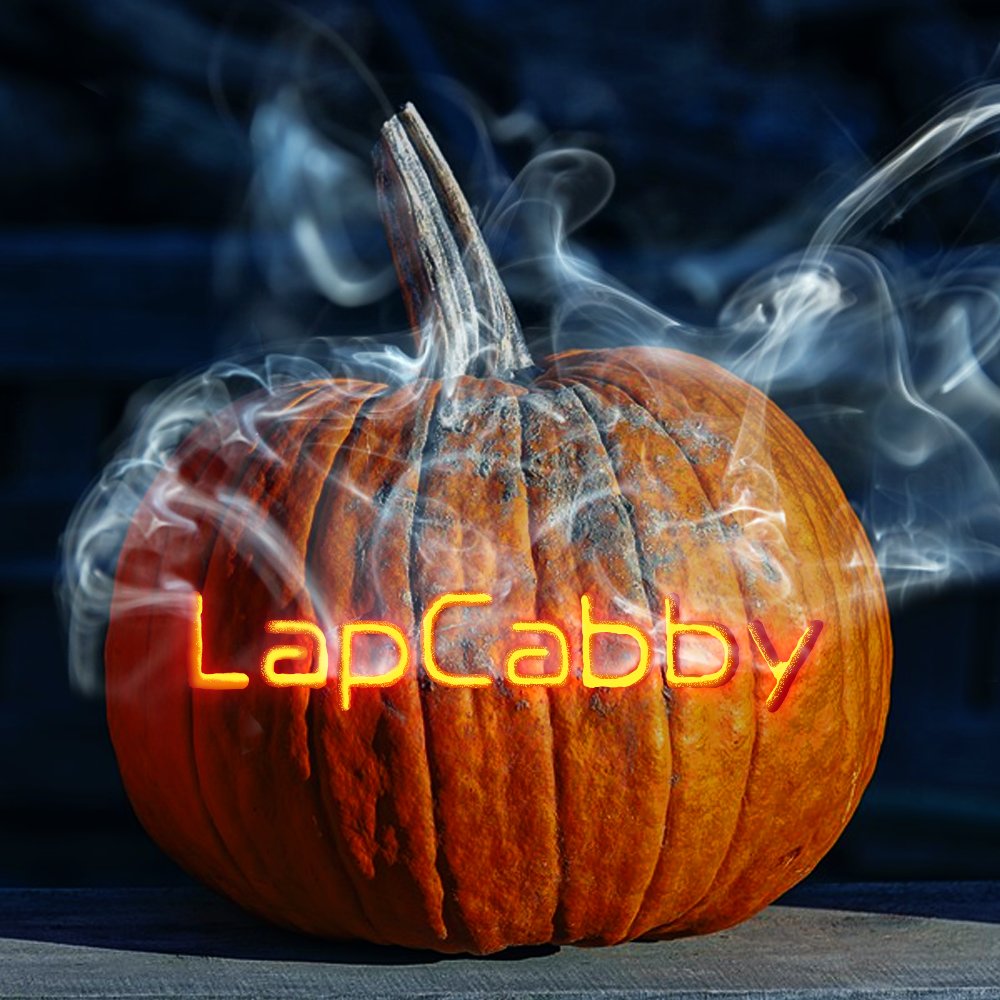 LapCabby tweet media