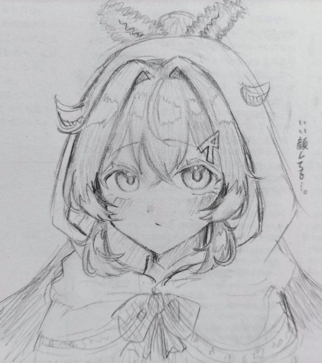 ぴよぴよ Hoomans🪶 (@azvpql8MzB9505) / Posts / X