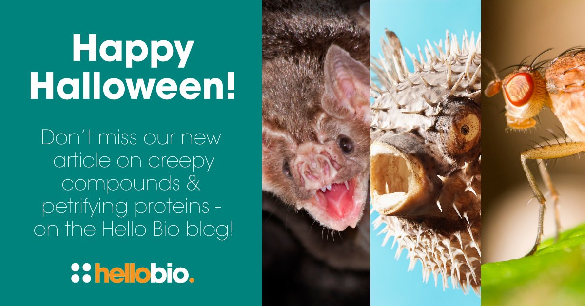hello_bio's tweet image. Happy Halloween from the team at Hello Bio! 👻
Check out our collection of eerie molecules, petrifying proteins & terrifying scientific terms are will give your lab the creeps: ow.ly/gftU50XkSlr
#halloween #happyhalloween #spookyscience #tetrodotoxin #luciferin #lifesci