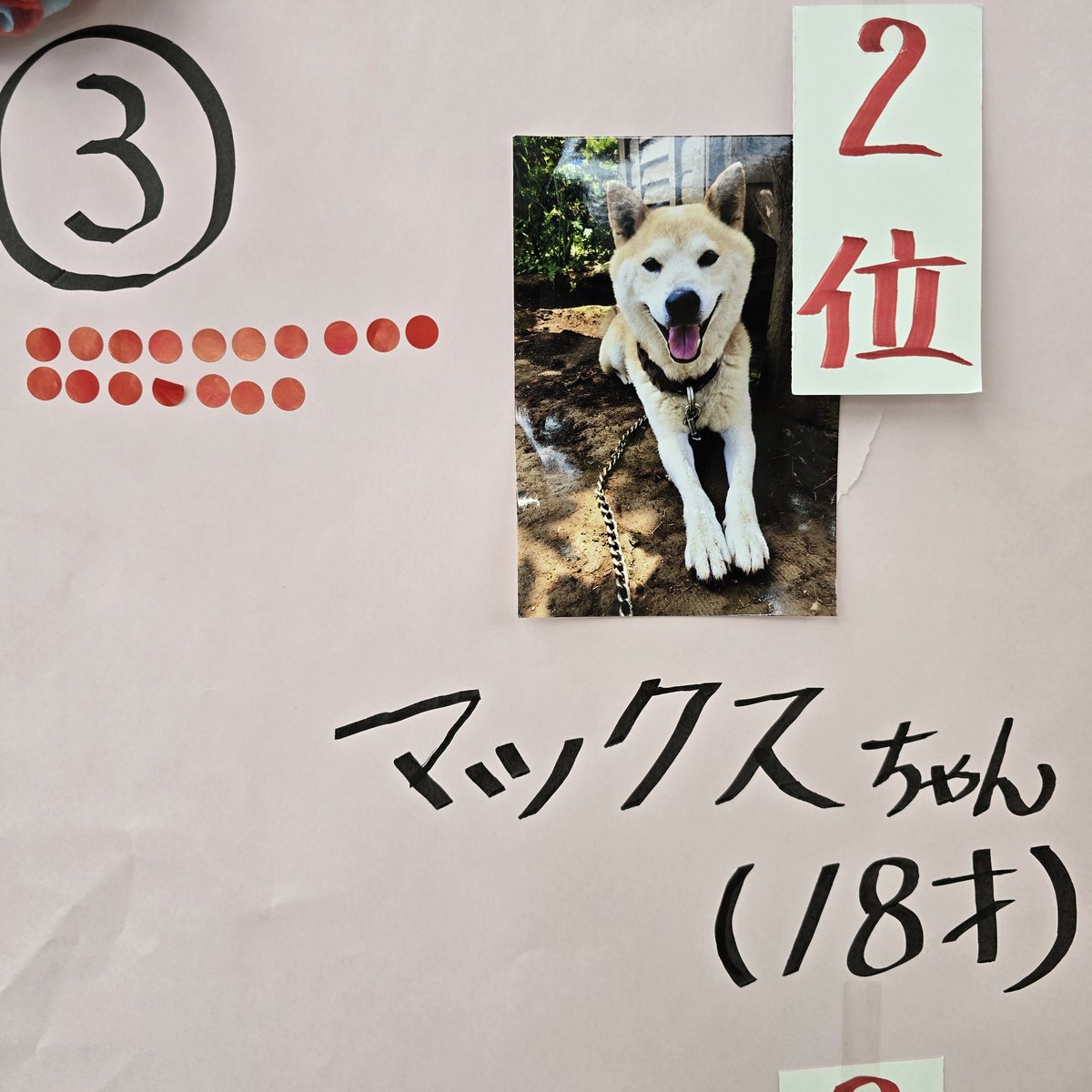 本と文房具の一清堂 on X