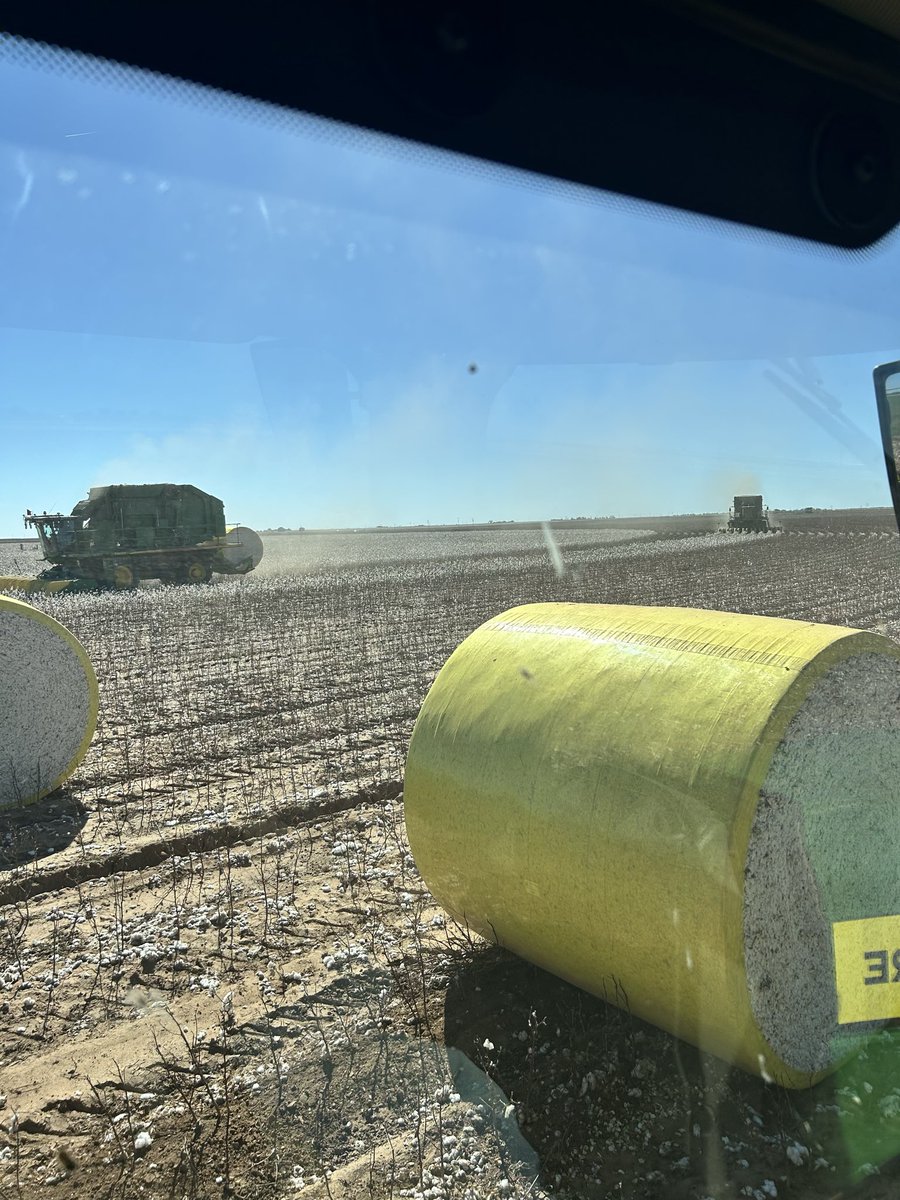 All of our cotton crews are hard at work and we enjoy showing off their amazing work! Keep up the grind guys!