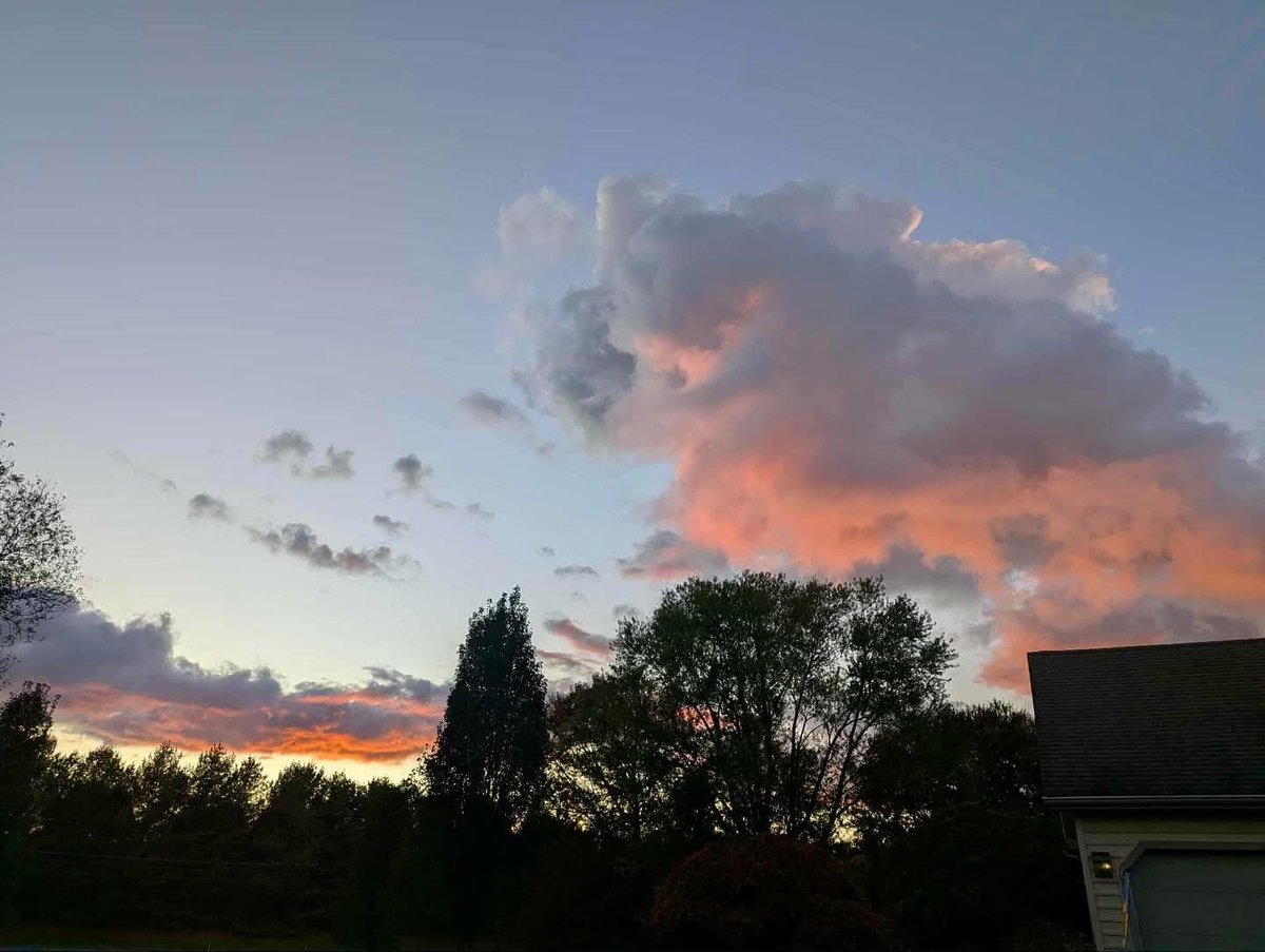 phawn809's tweet photo. Sunset fluff https://t.co/ilz4eSBzp8