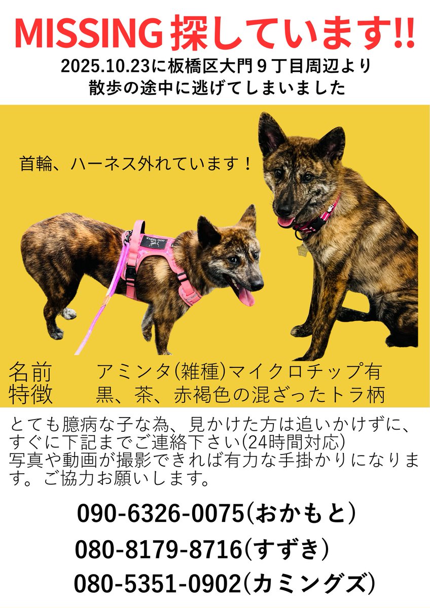 にこちゃん⭐︎引越しSALE中 SALE!