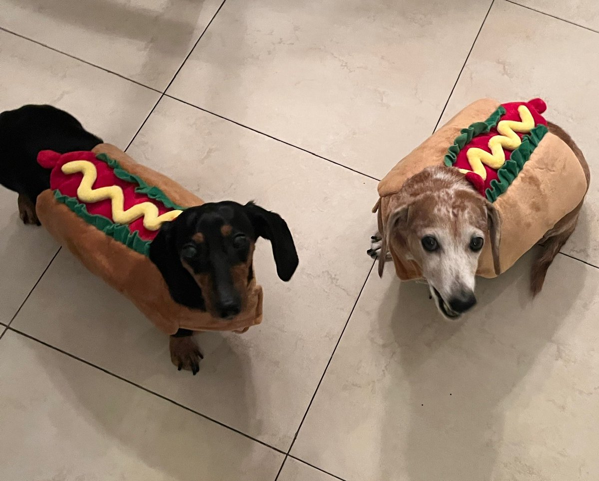 Happy Halloweenies Twitter 🎃👻