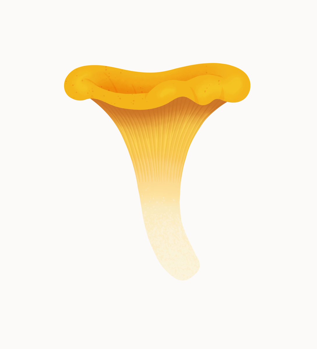 Sarah Abbott tweet media