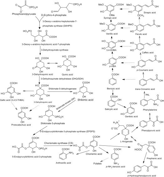 OGreat6's tweet image. The hardest course is this one that asks you reproduce this in the exam hall 👇🏾